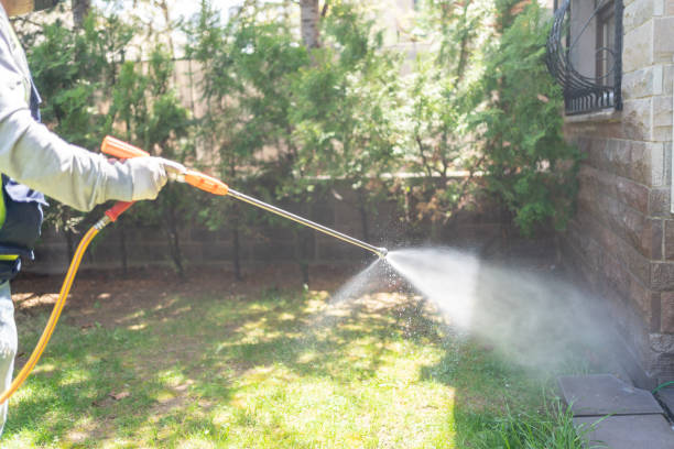 Best Local Pest Control Services  in Alvin, TX